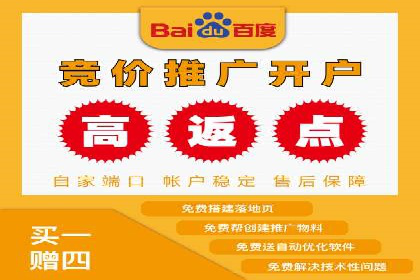百度推广费用与广告定位精准度的关系案例研究